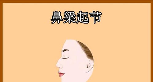 一、  鼻梁起节与性格特质：自信、独立与潜在的繁杂性