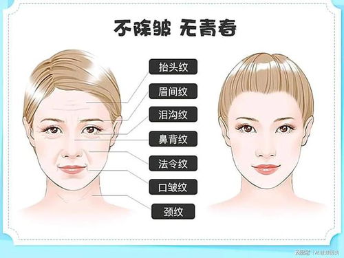 眼鼻口比例及其对长寿判定的意义