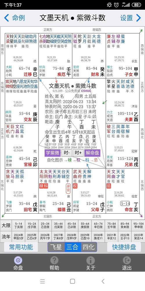 紫微斗数辅助分析与预测