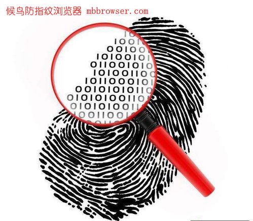 三、 从生肖星座与风水视角解析午夜指纹模仿现象