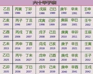 一、 手势法概述（此处略去具体细节）