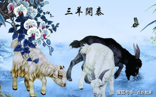 属羊者