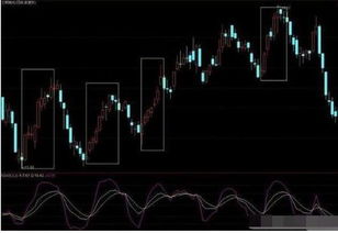 一、 偏财运之理论根基：风水学视角