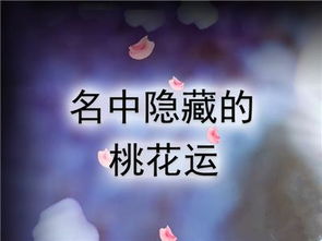 网络社交平台“心遇”在现代化择偶中的应用实际价值