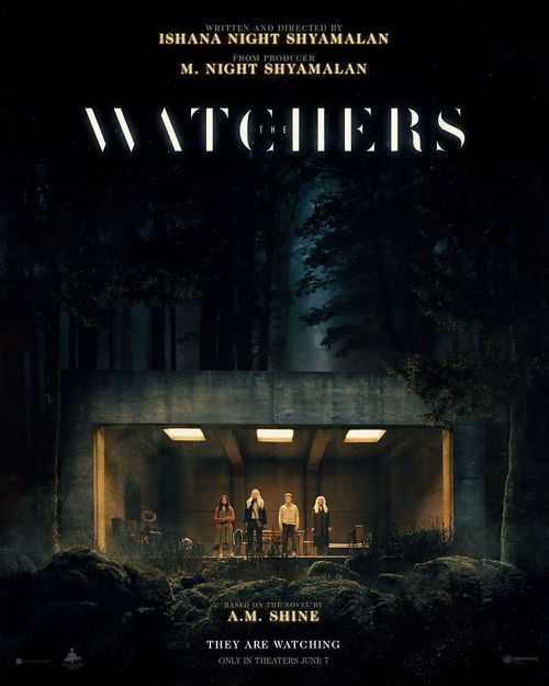 初现端倪：不安的预兆