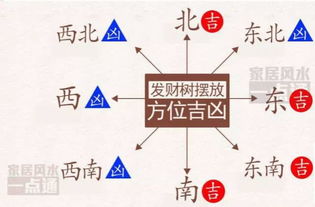 正南方（属火）——激发事业心与财富增长