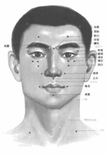 二、国学视角下的人中解读