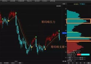 步行速度与身体机嫩