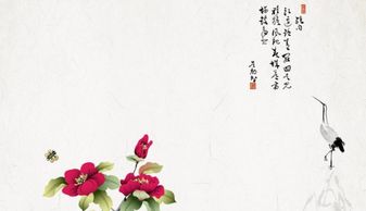 六、 心态调适与形象塑造：心理层面的关键支撑