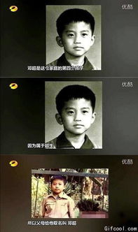 三、 名字的起源：传统文化、艺术创作与个人偏好