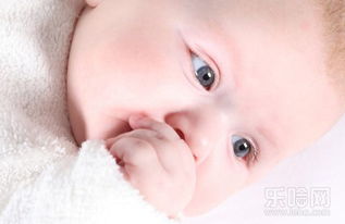 三、现代化审美趋势下乳名创崭新路径探讨