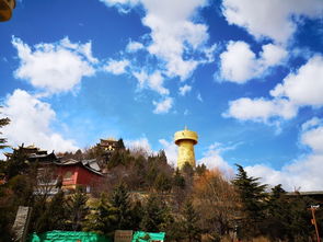 融入地方：血脉相连的金兰之交