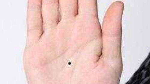 掌心印记：前世盟约与今生情缘的符号