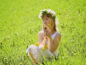 草本植物的美丽传说