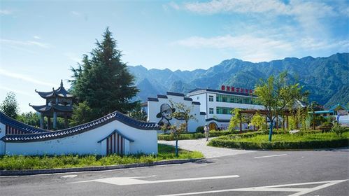 三、 路线二：永城乡村探险——蚊子比人多，草根比明星亮眼