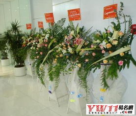 2月15日和1月15日分别是哪两个重要的纪念日或节日？