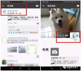 当代流行酷炫网名实例分析