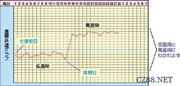 基础体温持续上升
基础体温作为一种内稳态指标在排卵前即会呈轻巧度上升趋势；只是在哺乳期间若基础体温较长时间段保持于摄氏度略较高于平日水平且未随昼夜节律明显变化波动的话,这能够明显看出已然意味着雌激素水平虽仍 being