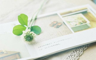 ：门口摆件在传统风水学中的理论定位与现实意义