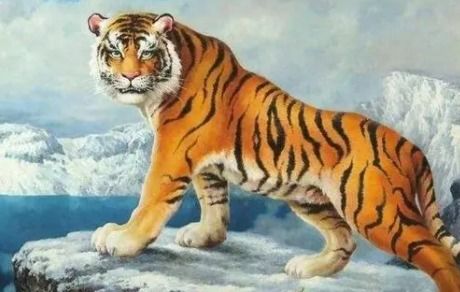 中国古楼猜一生肖，哪个生肖与之最为契合？