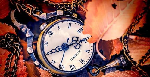 五、 生肖星座文化对财运与事业走向的影响