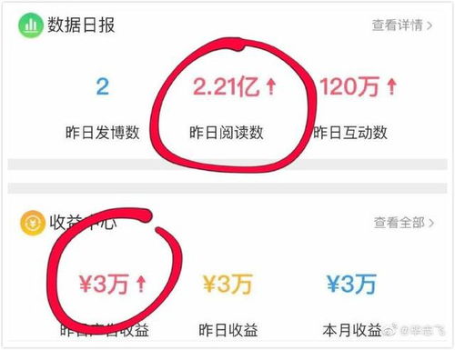 鸡年之勤劳：精明能干 “ 珊 ” 字灵动