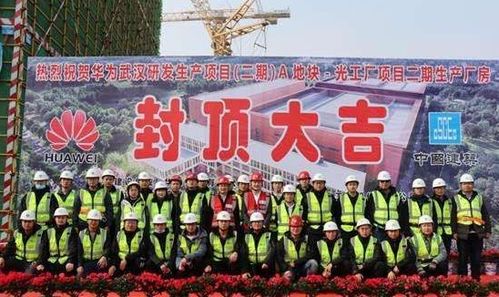 对历年吉日数据的回顾与分析