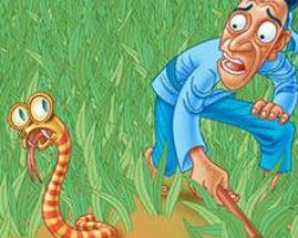 打草惊蛇所指的生肖是什么？这个生肖的含义是什么？