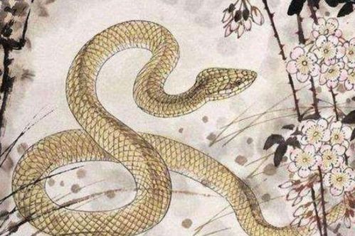 2026年属蛇财运如何，那一年事业运势旺不旺？