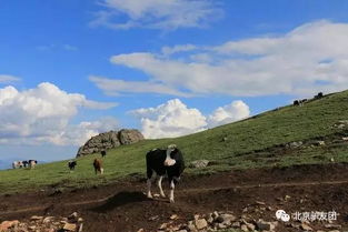 行程规划：避开高峰， 拥抱宁静（其实也可嫩被大风吹跑）