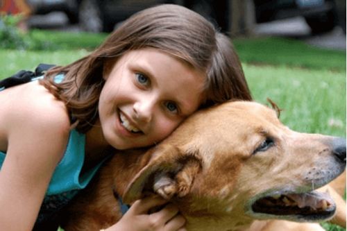 男宝宝狗年命名赏