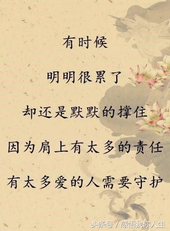 难以遏制的窥探欲