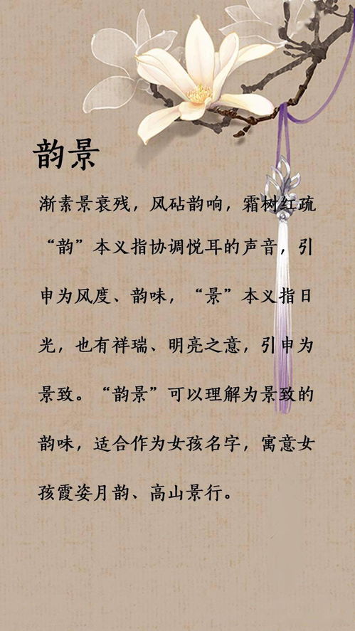 记住：名字不是“锦上添花”， 而是“底色决定全景”