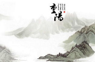 1.1 “纯阳”之气的辩证解读