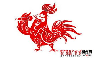 属鸡的人在本兔鸡年财运如何，会有哪些变化和机遇？