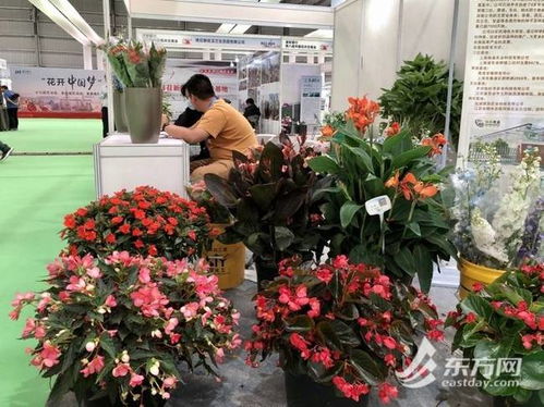 五、  大门玄关处的布局策略