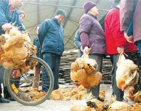 梦到自己买羊腿是什么预兆或暗示？