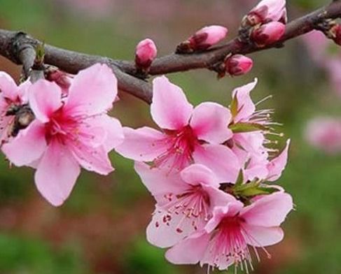 一、  地形地貌的选择与空间布局原则