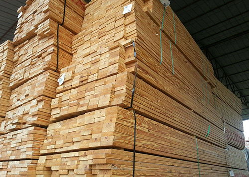 木头能救命？2026年必看风水禁忌