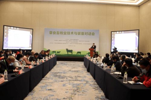 一、 技术层面的制约与不足