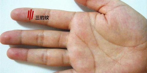 三、 财运线的动力学解析：现金流的定性与定量关系