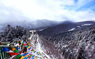 科学解释？（并不存在的）