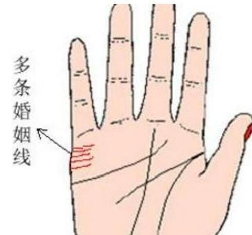 婚姻线的形态学解析与婚姻运势的内在关联