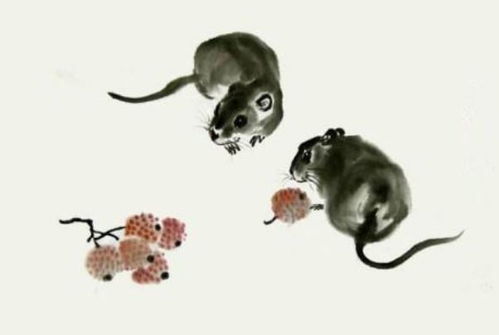 1984年属鼠人在2026年全年的运势如何？