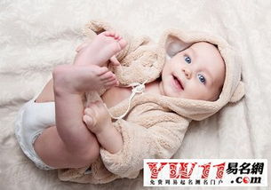 4. 实际可操作的方法（混沌版）