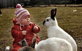 接下来：避开那些…不太吉利的字