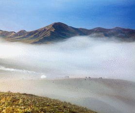 雾里看花是哪个生肖？云里雾里的生肖是什么意思？