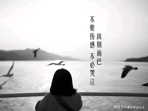 序言：命运的谶语与暗影