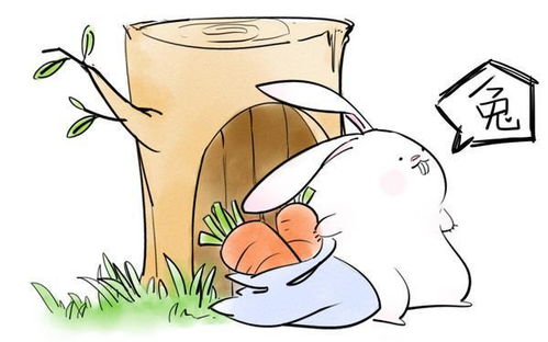 3. 生肖兔——温柔付出背后的动机辨析