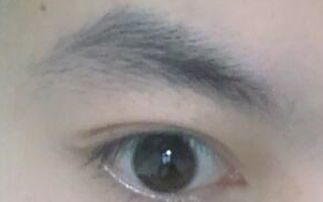 龙眉与大刀眉的异同辨析